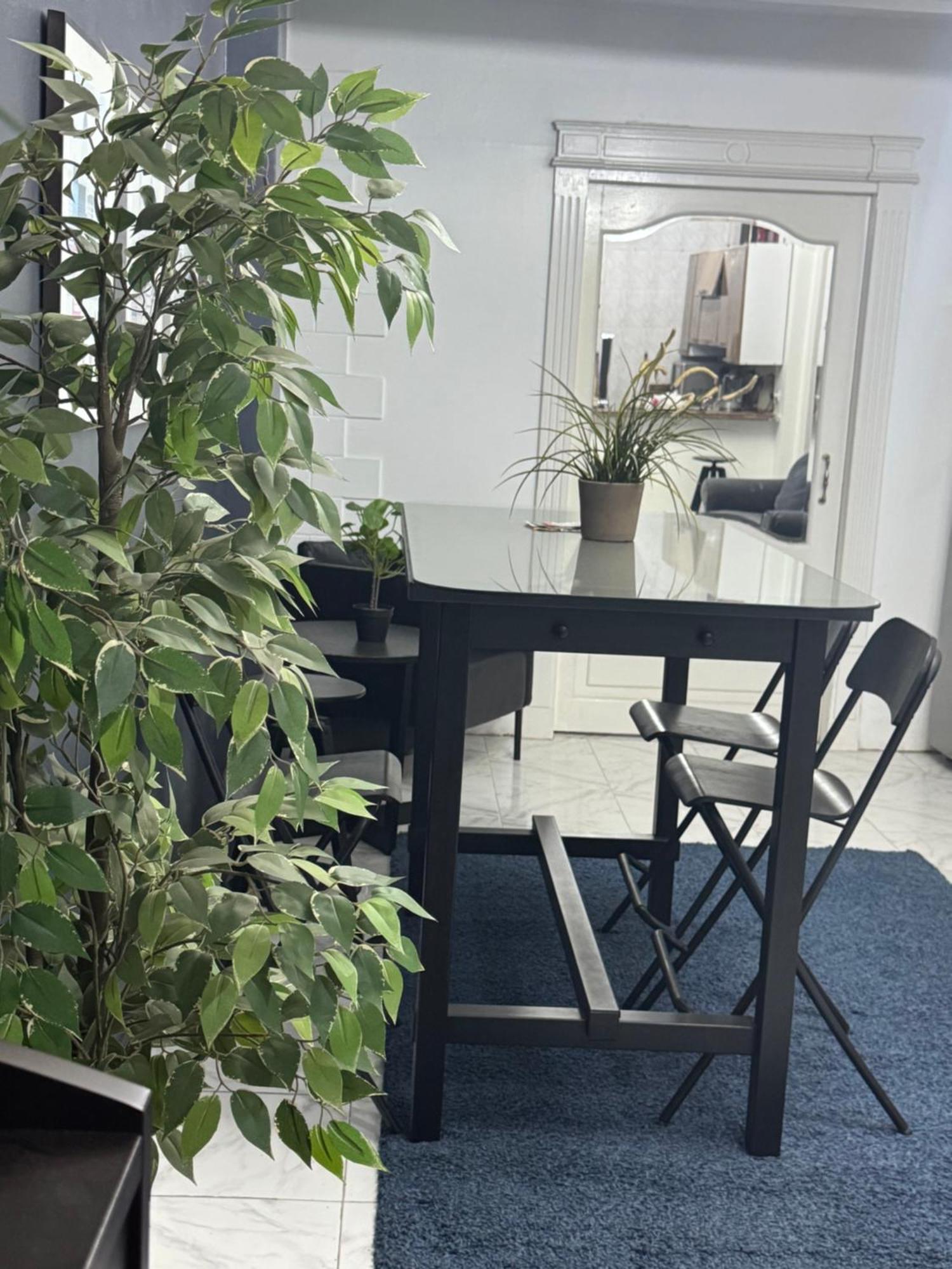54 شارع محمد شاهين العجوزه Appartement